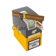 Expert Cohiba Robustos Box 5x3 Cigar on top