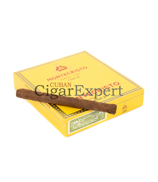 Expert
