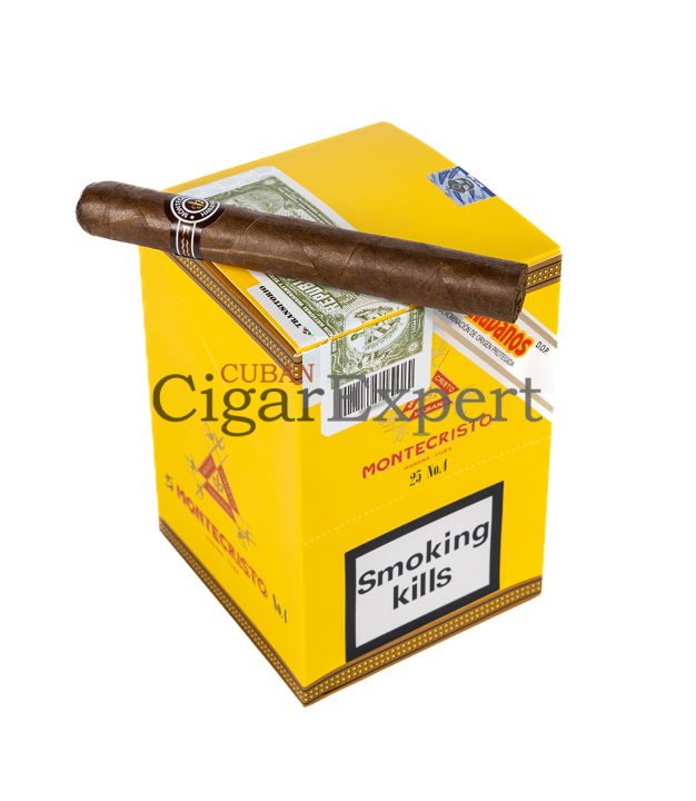 Expert Cigar on top Montecristo No. 4 (5x5)
