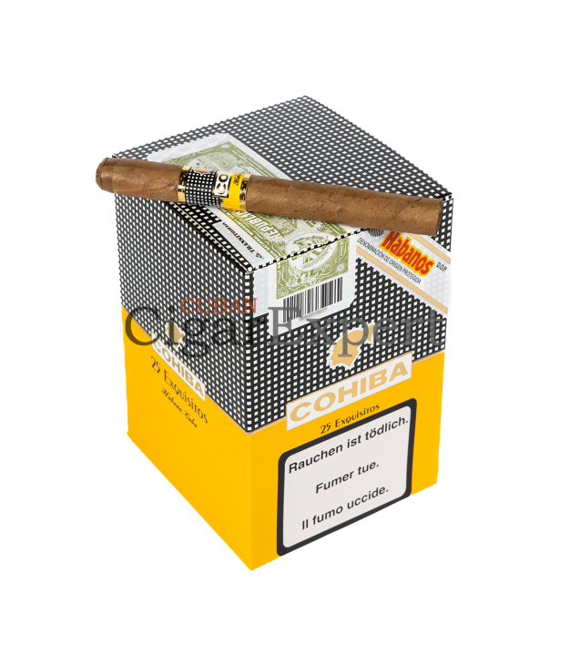 Expert Cigar on top Cohiba Exquisitos (5x5)
