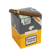 Expert Cigar On Top