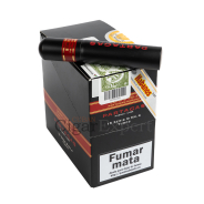 Expert Cigar On Top
