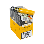 Expert Cigar On Top
