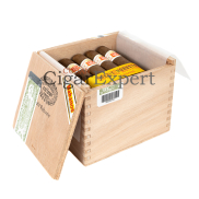 Hoyo de Monterrey Petit Robustos
