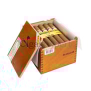 Cohiba Siglo VI 