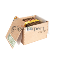 Partagas Shorts
