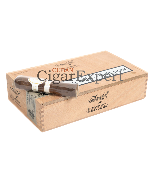 Expert
