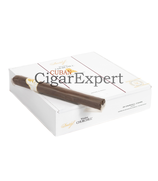 Expert
