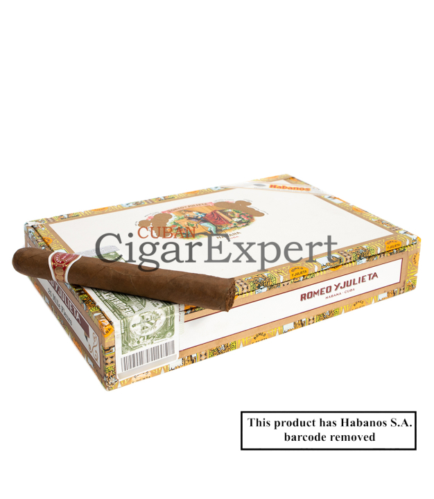Expert